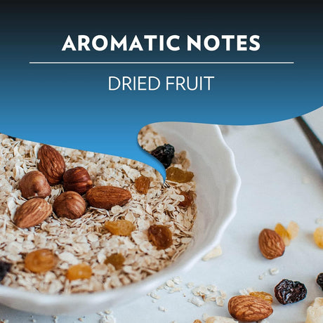 Lavazza Maestro Espresso Dek 10 Capsule Nespresso Compatible Pods